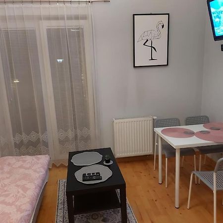 Homelyapartment Krakov Exteriér fotografie